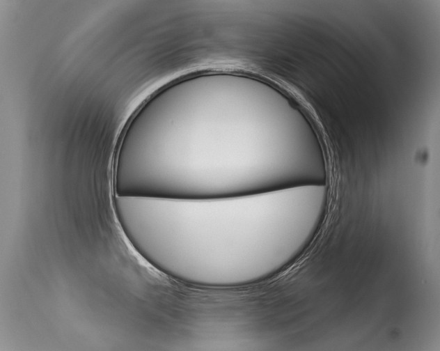 X0000113611343200909181042