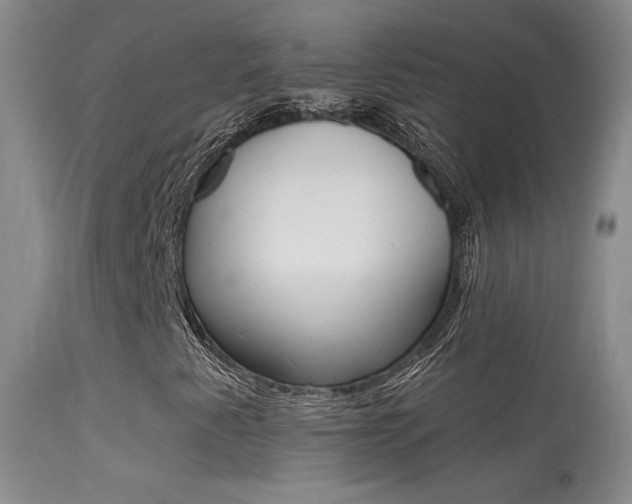 X0000113611345200909181041