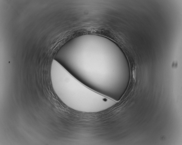 X0000113611347200909181041