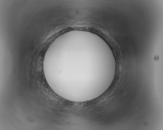 X0000113611350200909181041