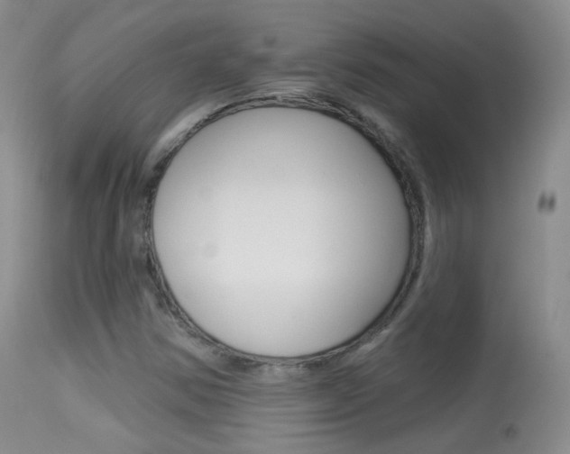 X0000113611354200909181041