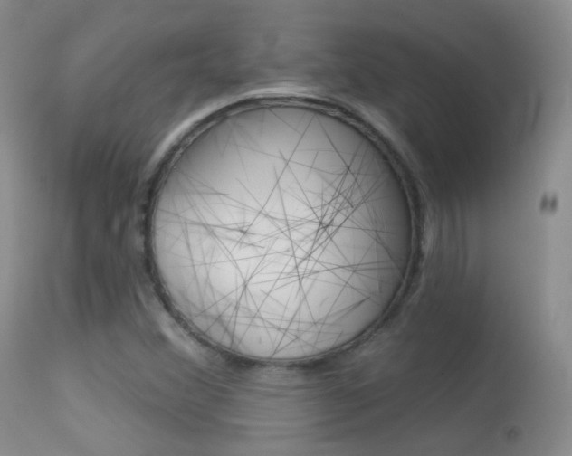 X0000113611356200909181041