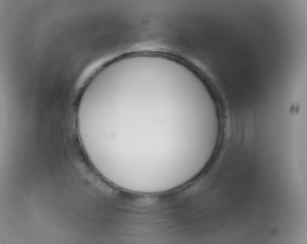 X0000113611358200909181041