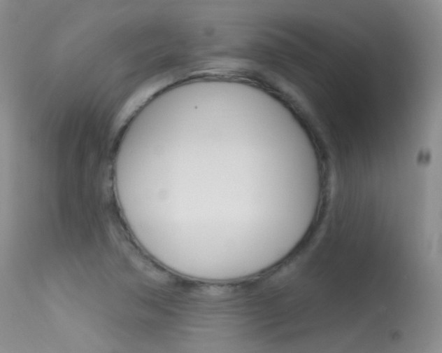 X0000113611362200909181041