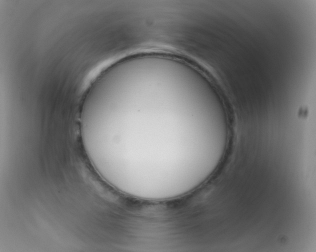 X0000113611363200909181041