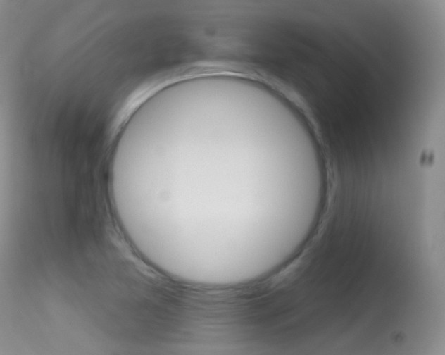 X0000113611365200909181041