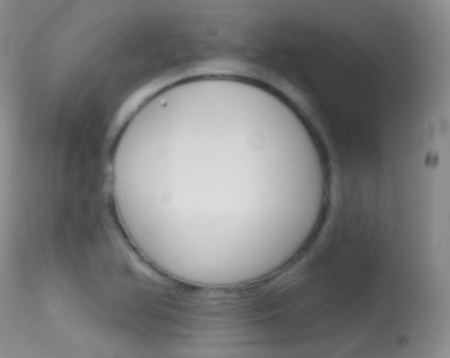 X0000113611366200909181041