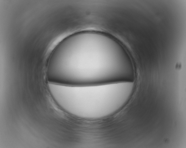 X0000113611367200909181041