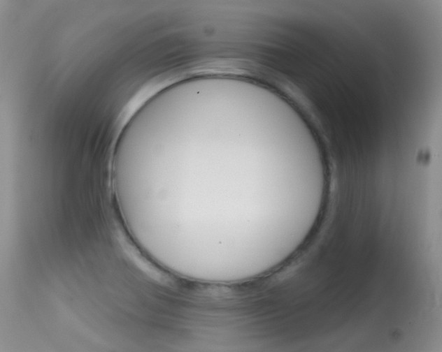X0000113611370200909181041