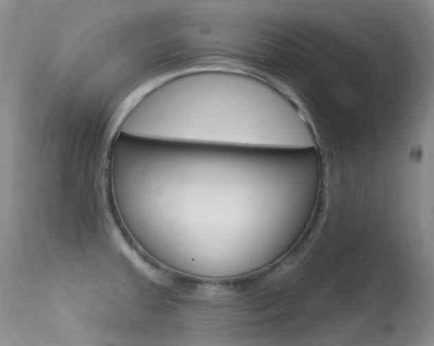 X0000113611379200909181041