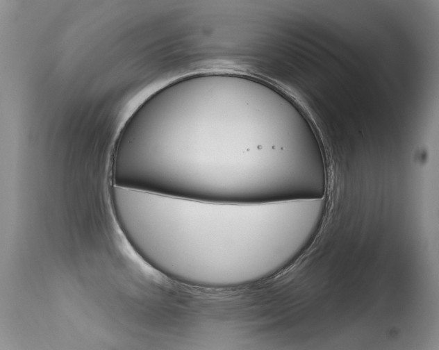 X0000113611387200909181040