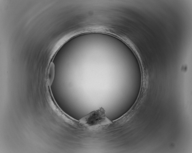 X0000113611389200909181040