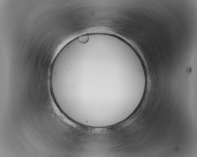 X0000113611390200909181040