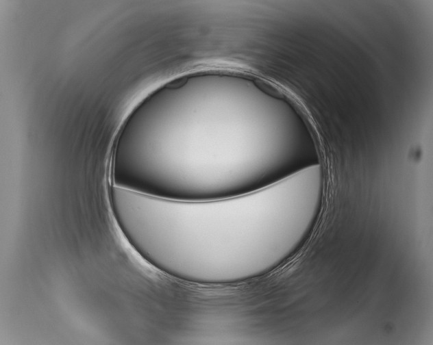 X0000113611391200909181040