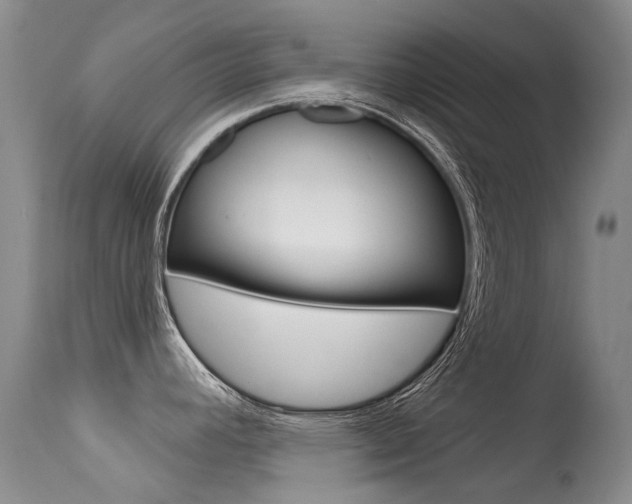 X0000113611392200909181040