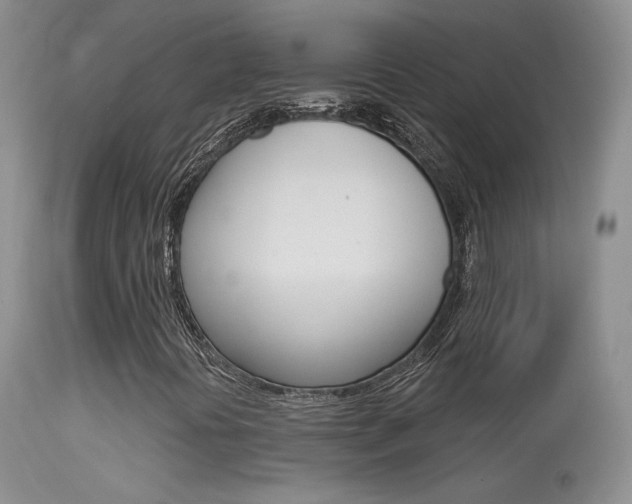 X0000113611394200909181040