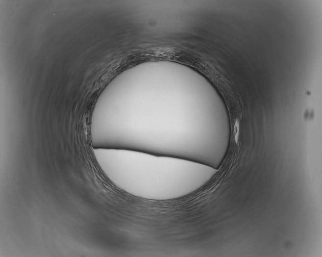 X0000113611395200909181040