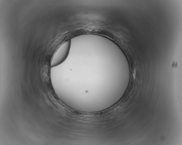 X0000113611396200909181040