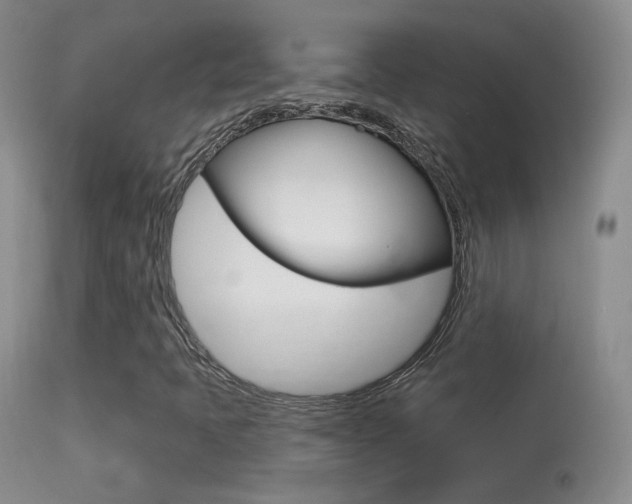 X0000113611397200909181040