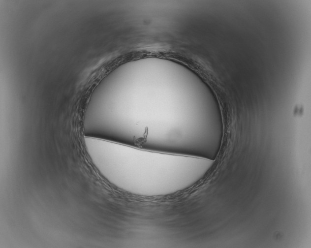 X0000113611398200909181040