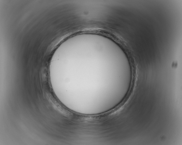 X0000113611401200909181040