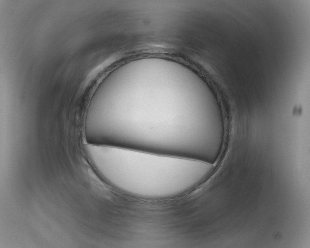 X0000113611402200909181040