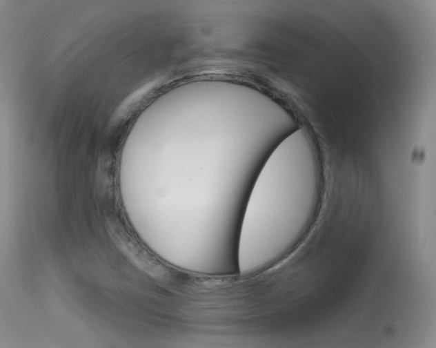 X0000113611403200909181040