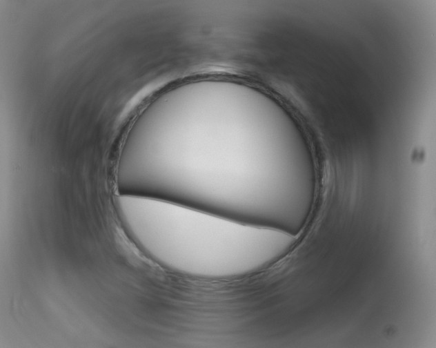 X0000113611404200909181040
