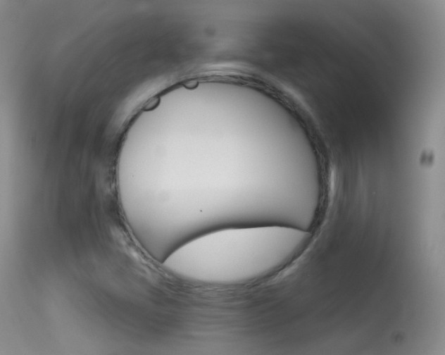 X0000113611405200909181040