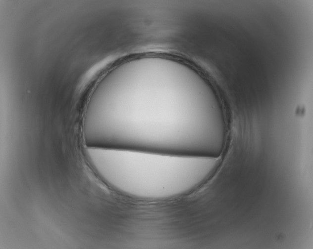 X0000113611406200909181040