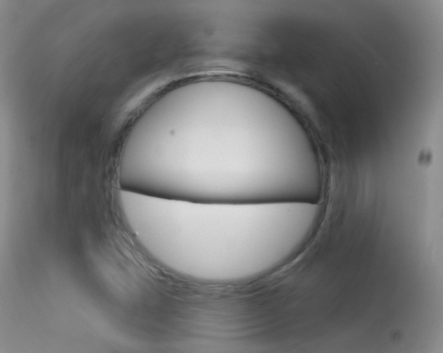 X0000113611407200909181040