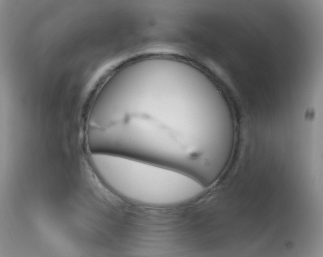 X0000113611408200909181040