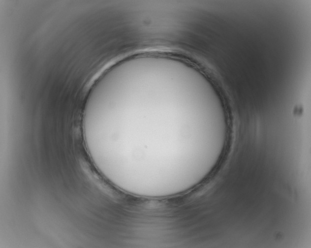 X0000113611409200909181040