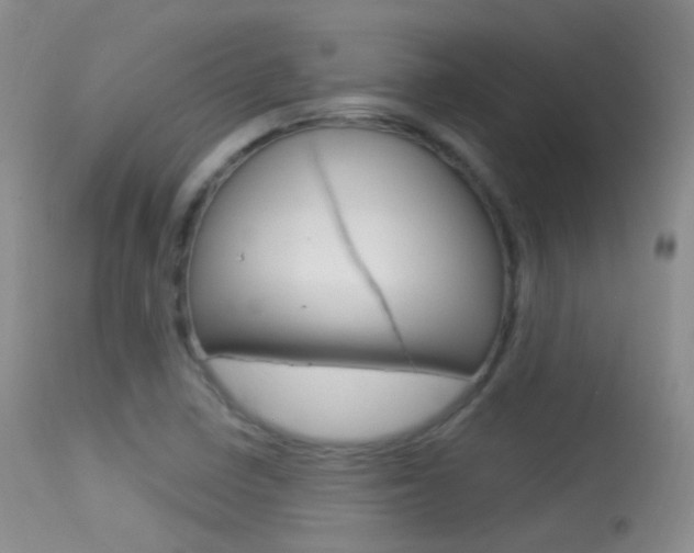 X0000113611410200909181040