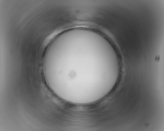 X0000113611411200909181040