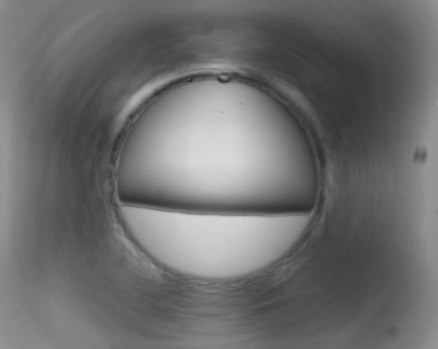 X0000113611412200909181040