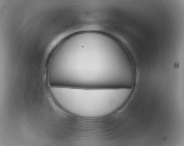 X0000113611414200909181040