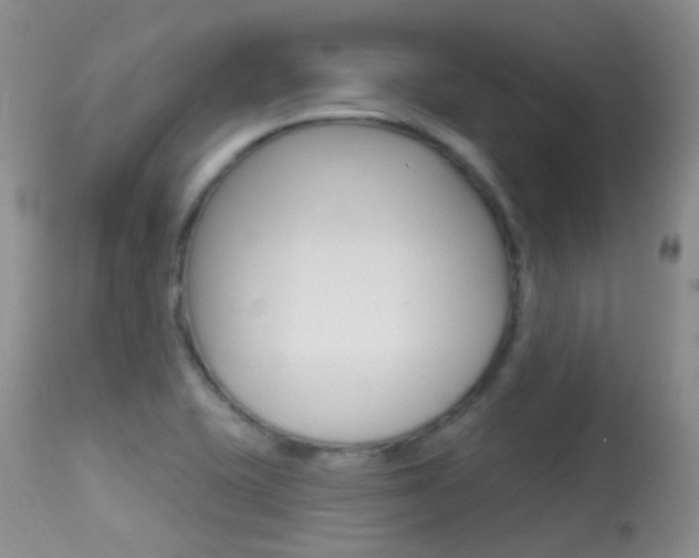 X0000113611415200909181040