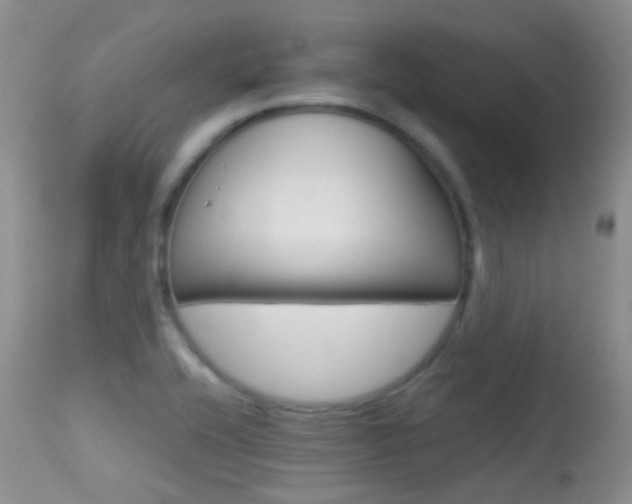 X0000113611416200909181040