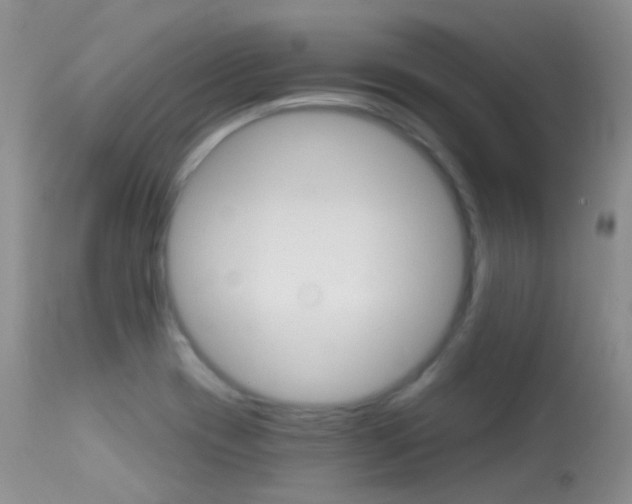 X0000113611417200909181040