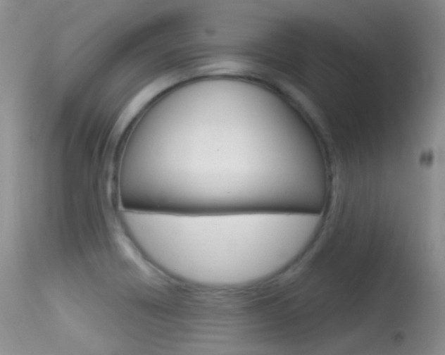 X0000113611418200909181040