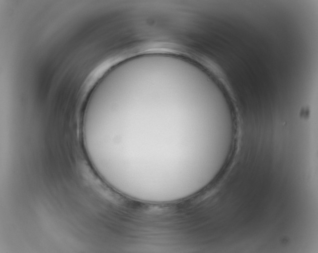 X0000113611419200909181040