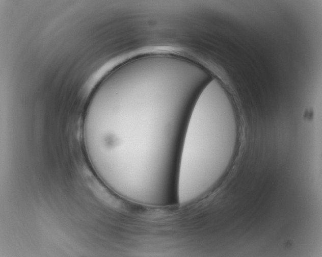X0000113611420200909181040