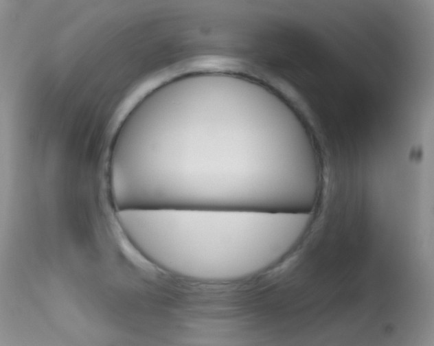 X0000113611421200909181040