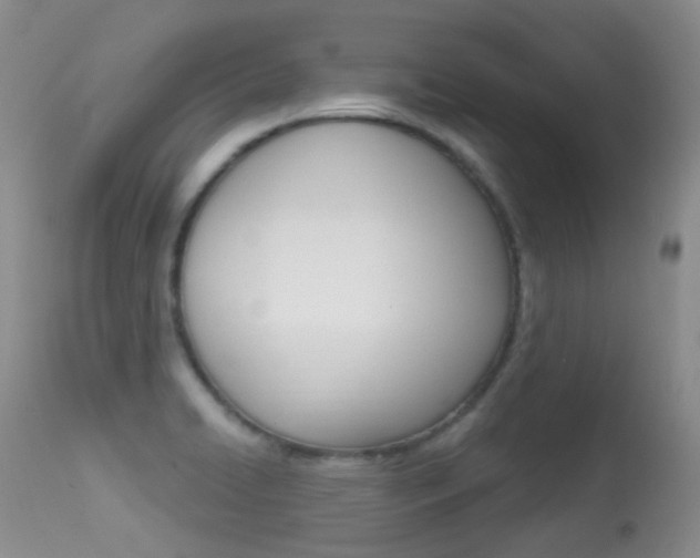 X0000113611422200909181040
