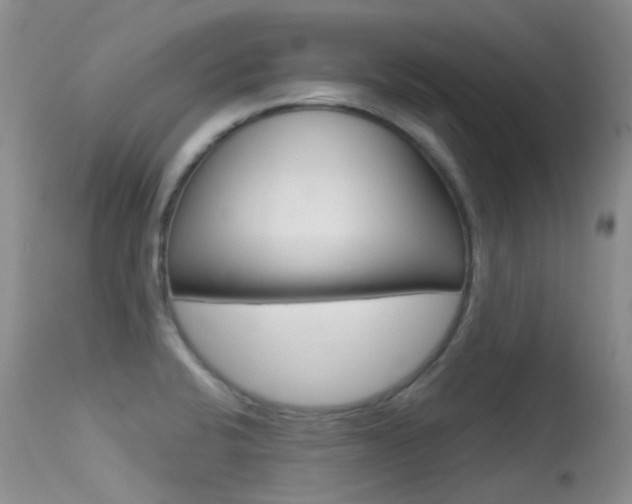 X0000113611424200909181040