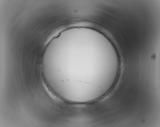 X0000113611425200909181040