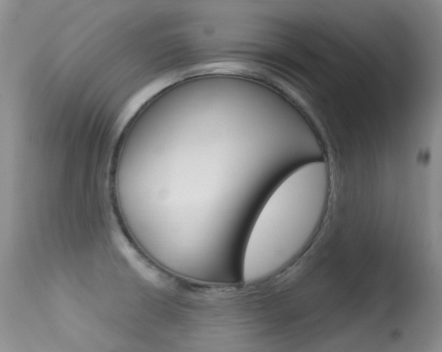 X0000113611426200909181040