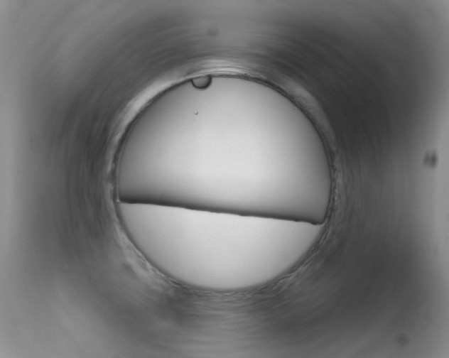 X0000113611427200909181040