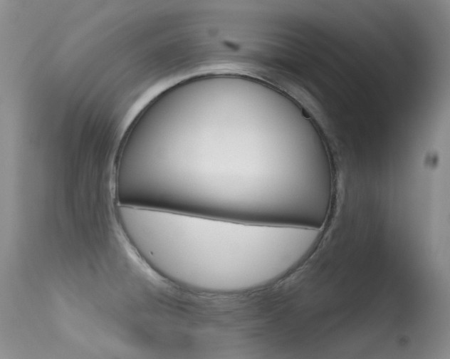 X0000113611428200909181040